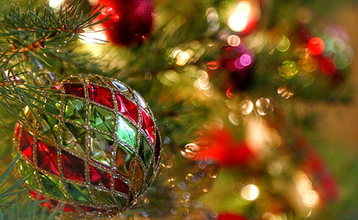 Holiday ornament on a tree limb
